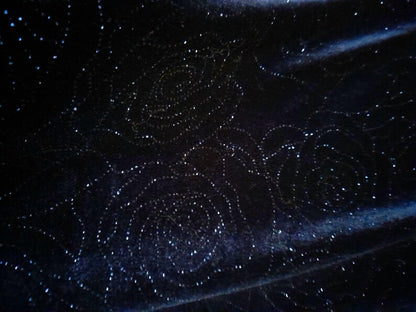 Vintage 90s CANDA C&A Deep Blue Sparkly Rose Print Velvet Tunic Style Top